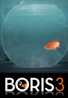 locandina del film BORIS - STAGIONE 3