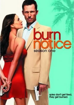 locandina del film BURN NOTICE - STAGIONE 1