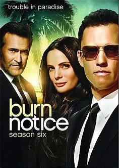 locandina del film BURN NOTICE - STAGIONE 6