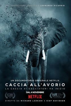 locandina del film CACCIA ALL'AVORIO