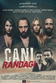 locandina del film CANI RANDAGI