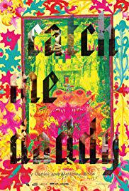 locandina del film CATCH ME DADDY