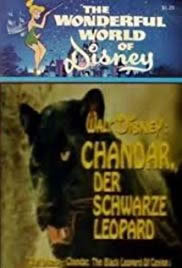 locandina del film CHANDAR, THE BLACK LEOPARD OF CEYLON