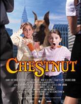 locandina del film CHESTNUT - UN EROE A QUATTRO ZAMPE
