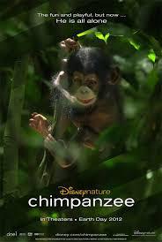locandina del film CHIMPANZEE