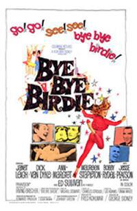 locandina del film CIAO CIAO BIRDIE