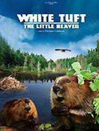 locandina del film CIUFFO BIANCO - IL PICCOLO CASTORO