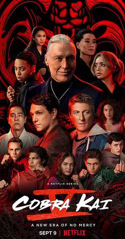 locandina del film COBRA KAI - STAGIONE 5