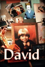 locandina del film DAVID (1988)