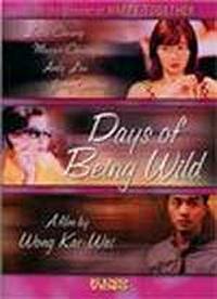 locandina del film DAYS OF BEING WILD