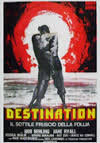 locandina del film DESTINATION - IL SOTTILE FRUSCIO DELLA FOLLIA