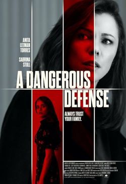 locandina del film DIFESA PERICOLOSA