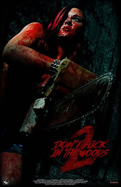 locandina del film DON'T FUCK IN THE WOODS 2