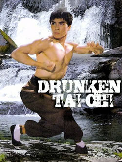 locandina del film DRUNKEN TAI - CHI
