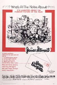 locandina del film ERASMO IL LENTIGGINOSO