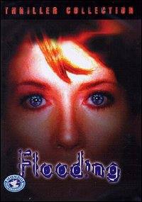 locandina del film FLOODING