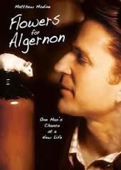 locandina del film FLOWERS OF ALGERNON