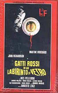 locandina del film GATTI ROSSI IN UN LABIRINTO DI VETRO