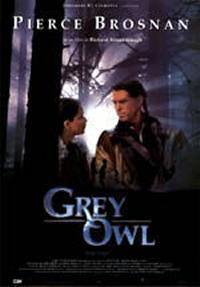 locandina del film GUFO GRIGIO