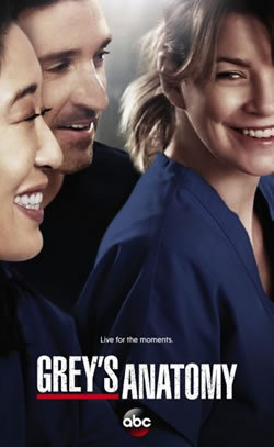 locandina del film GREY'S ANATOMY - STAGIONE 10