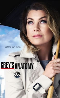 locandina del film GREY'S ANATOMY - STAGIONE 12