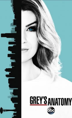 locandina del film GREY'S ANATOMY - STAGIONE 13