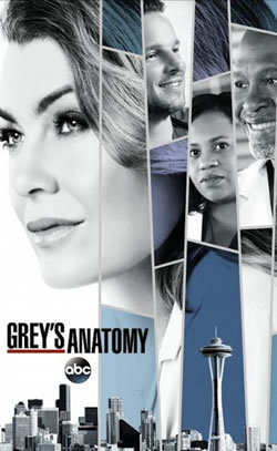 locandina del film GREY'S ANATOMY - STAGIONE 14