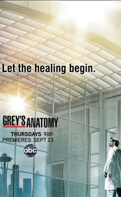 locandina del film GREY'S ANATOMY - STAGIONE 7