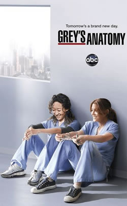 locandina del film GREY'S ANATOMY - STAGIONE 8
