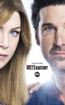 locandina del film GREY'S ANATOMY - STAGIONE 9