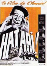 locandina del film HATARI!