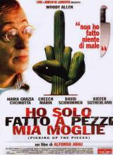 locandina del film HO SOLO FATTO A PEZZI MIA MOGLIE