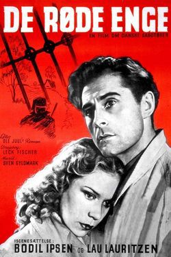 locandina del film I CAMPI SCARLATTI