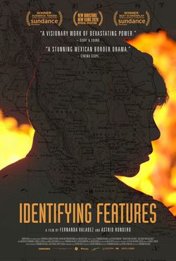 locandina del film IDENTIFYING FEUTURES