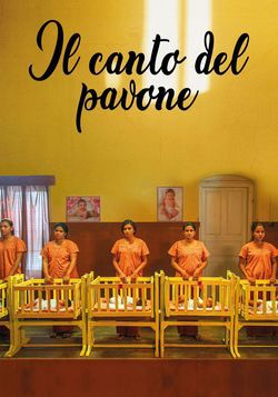 locandina del film IL CANTO DEL PAVONE
