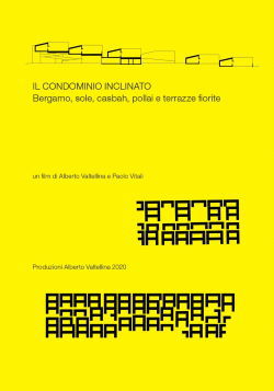 locandina del film IL CONDOMINIO INCLINATO