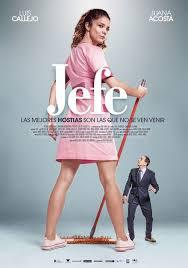 locandina del film IL DIRETTORE CAPO