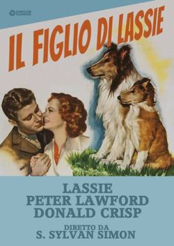 locandina del film IL FIGLIO DI LASSIE