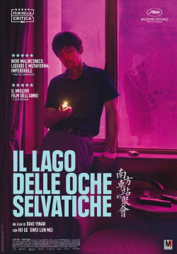locandina del film IL LAGO DELLE OCHE SELVATICHE