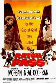 locandina del film IL PASSO DELL'AVVOLTOIO