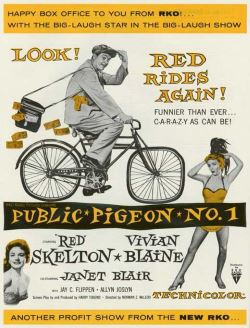 locandina del film IL POLLO PUBBLICO N. 1