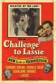 locandina del film IL RITORNO DI LASSIE