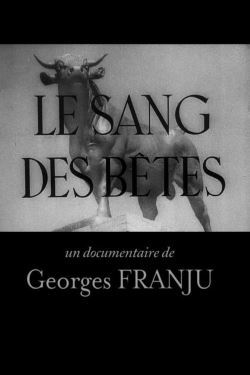 locandina del film IL SANGUE DELLA BESTIA