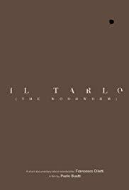 locandina del film IL TARLO