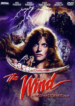 locandina del film IL VENTO (1987)