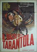 locandina del film IL BACIO DELLA TARANTOLA