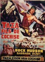 locandina del film IL FIGLIO DI KOCISS