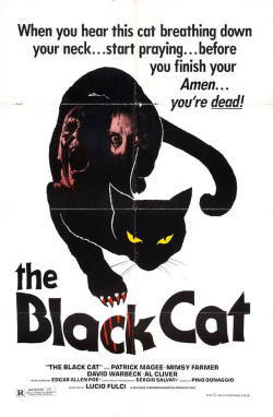 locandina del film IL GATTO NERO