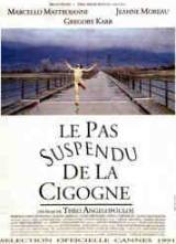locandina del film IL PASSO SOSPESO DELLA CICOGNA