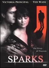 locandina del film IL PREZZO DELLA PASSIONE